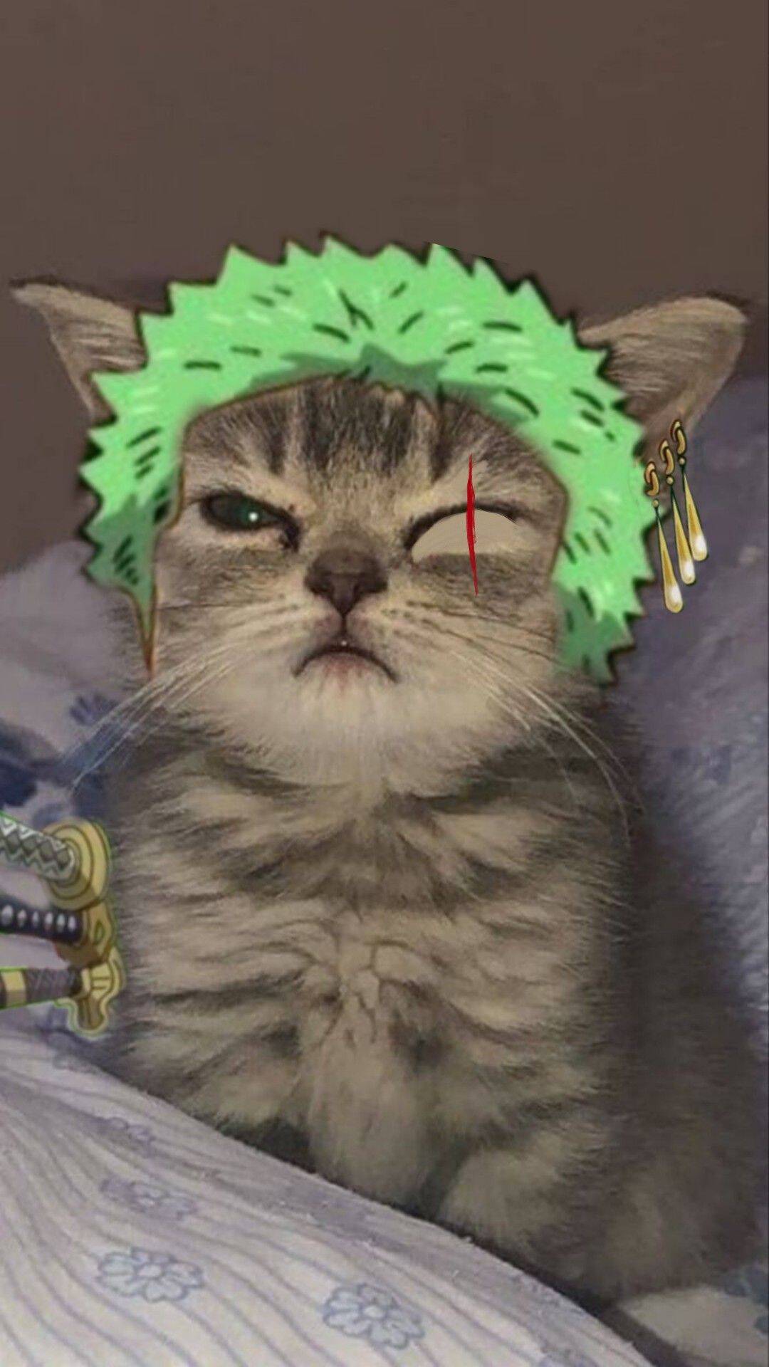 One Piece pfp Profile Picture Cat as Zoro with Green Hair