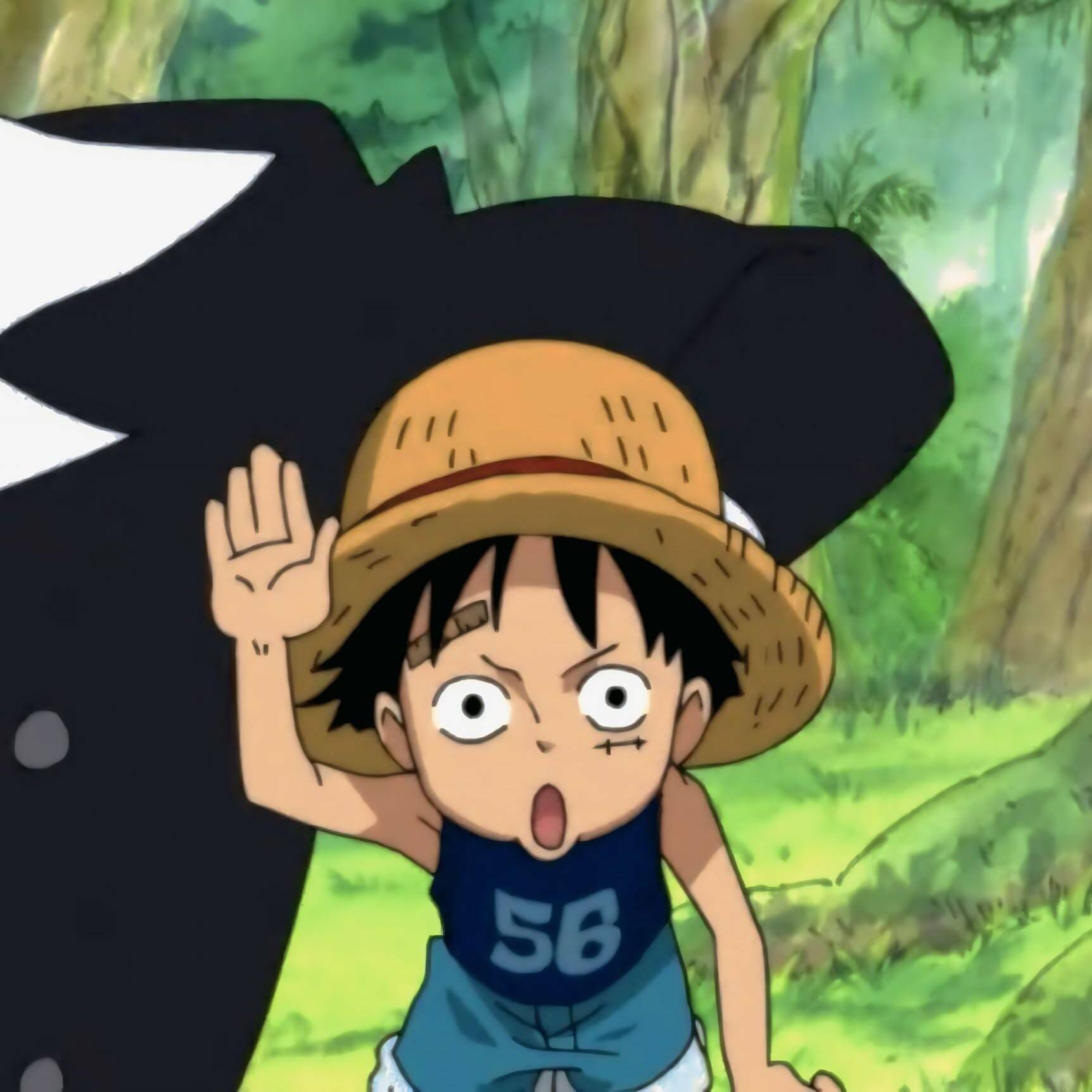 Luffy pfp Profile Picture Young Straw Hat Pirate Smiling
