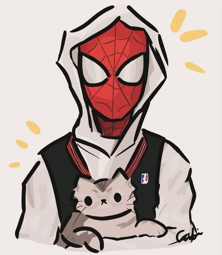 Spider Man pfp Profile Picture with Cat and Hoodie