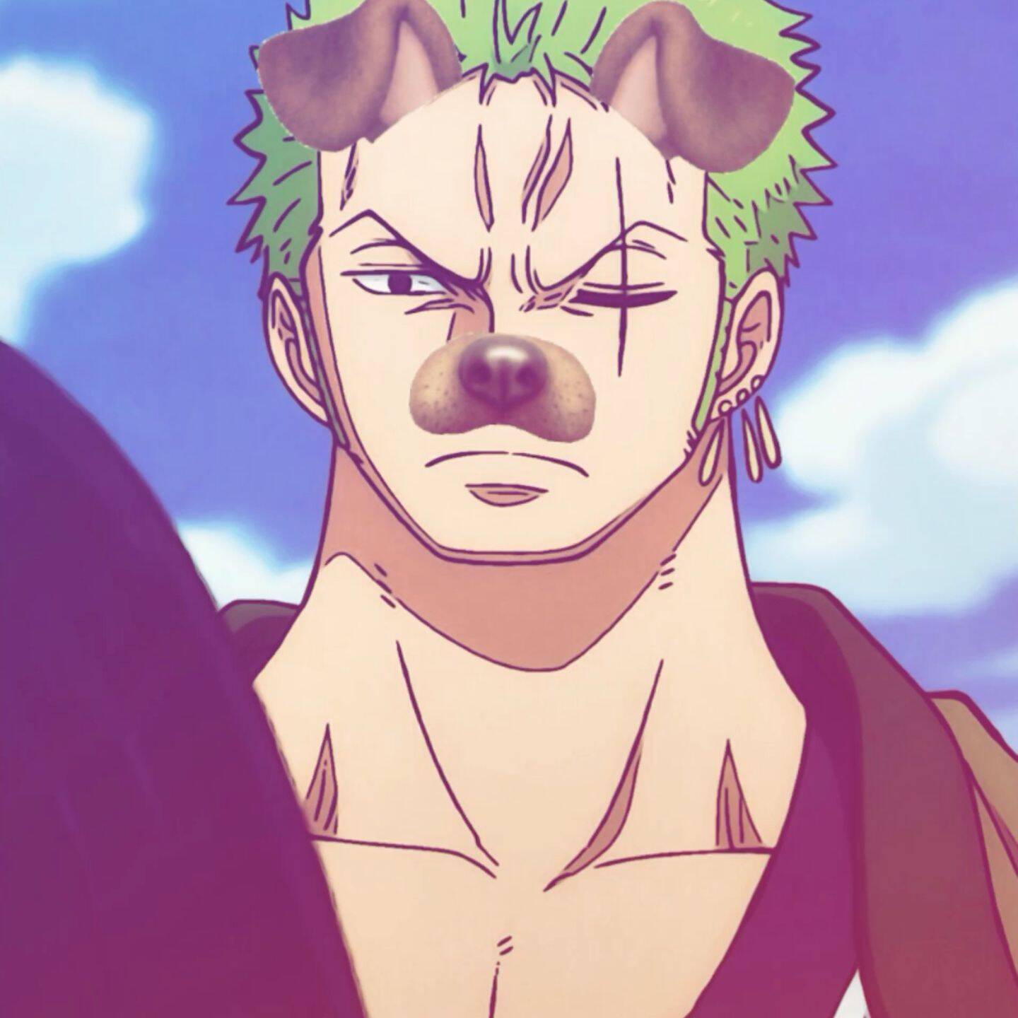 One Piece pfp Profile Picture Zoro with Dog Filter