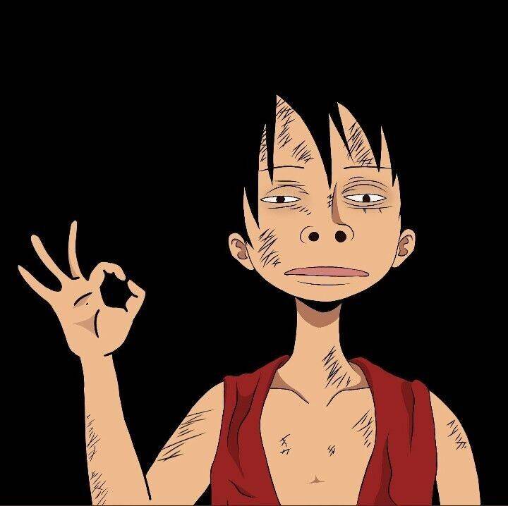 One Piece pfp Profile Picture Luffy Making the Okay Gesture