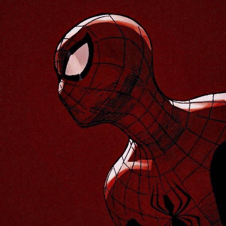 Spiderman pfp Profile Picture in Bold Red Background