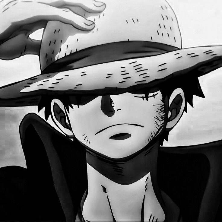 Luffy pfp Profile Picture Black and White Cool Luffy