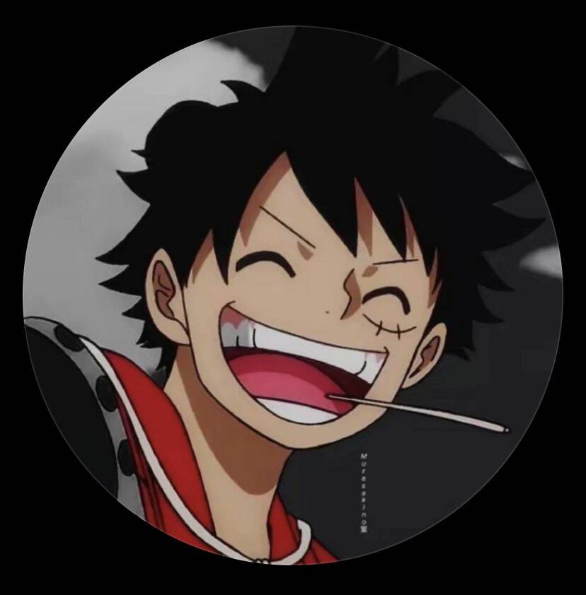 Luffy pfp Profile Picture Happy Smiling Face