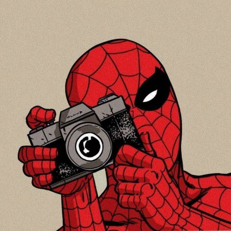 Spiderman pfp Profile Picture with Camera Ready to Snap