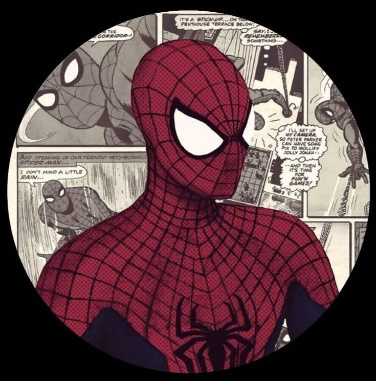Spiderman pfp Profile Picture Classic Comic Style