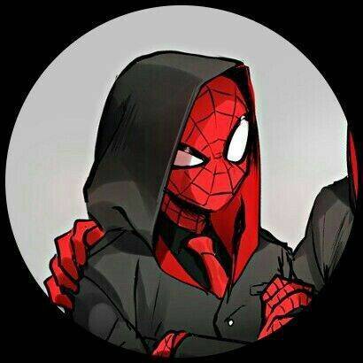 Spiderman pfp Profile Picture in Red and Black Hoodie Style