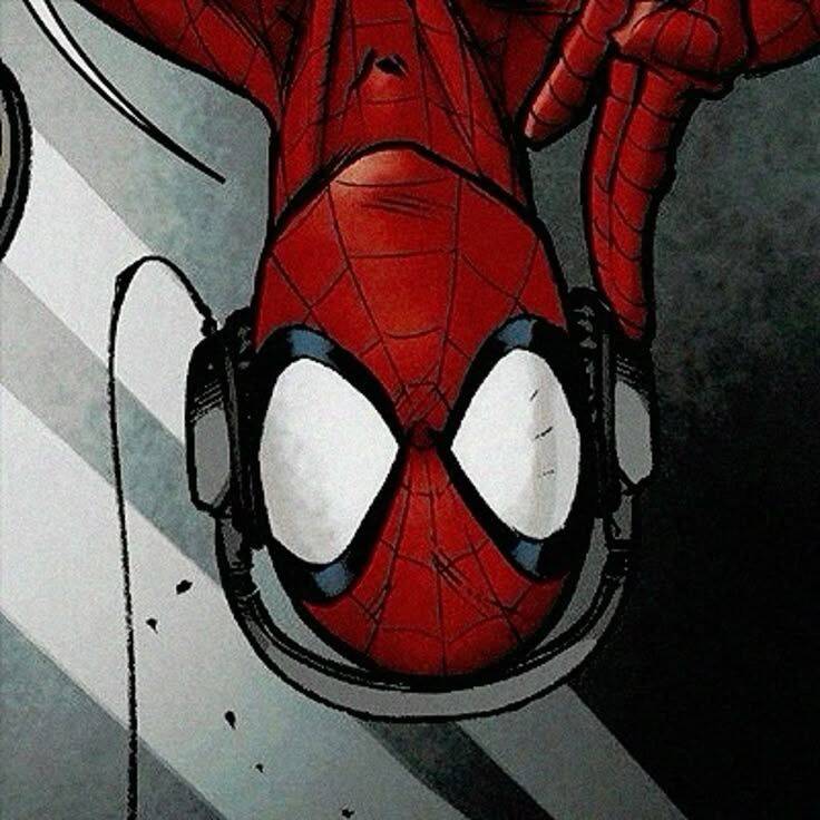 Spiderman pfp Profile Picture with Headphones and Web Background