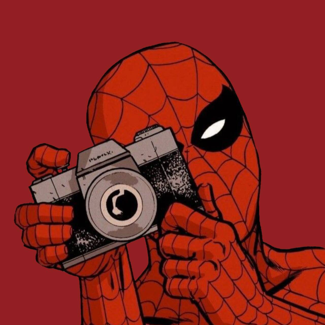 Spiderman pfp Profile Picture with Vintage Camera