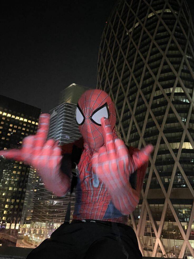 Spiderman pfp Profile Picture Making a Statement in the City