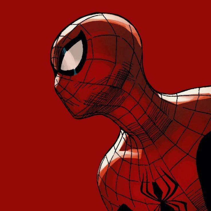 Spiderman pfp Profile Picture Close Up with Iconic Mask