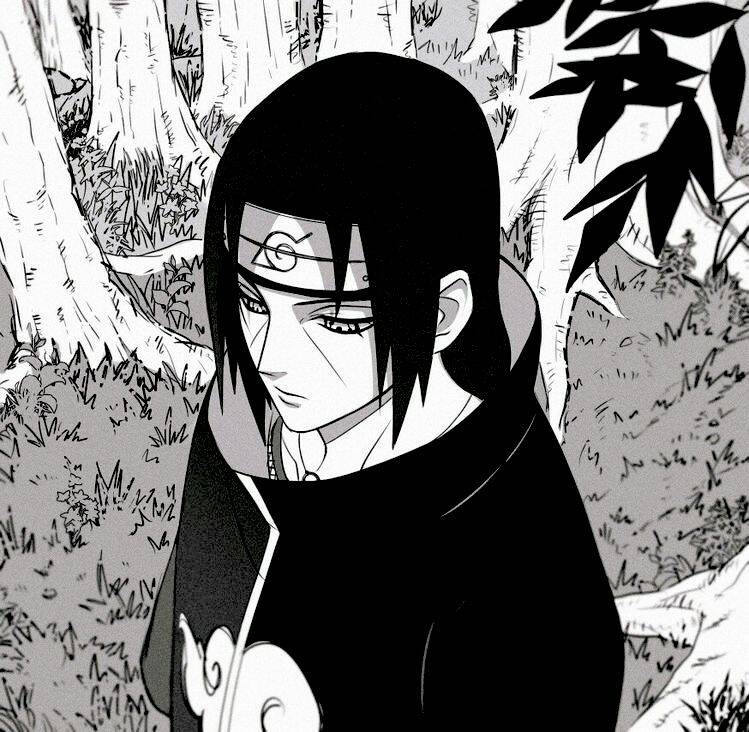 Itachi Uchiha pfp Profile Picture in Forest Background