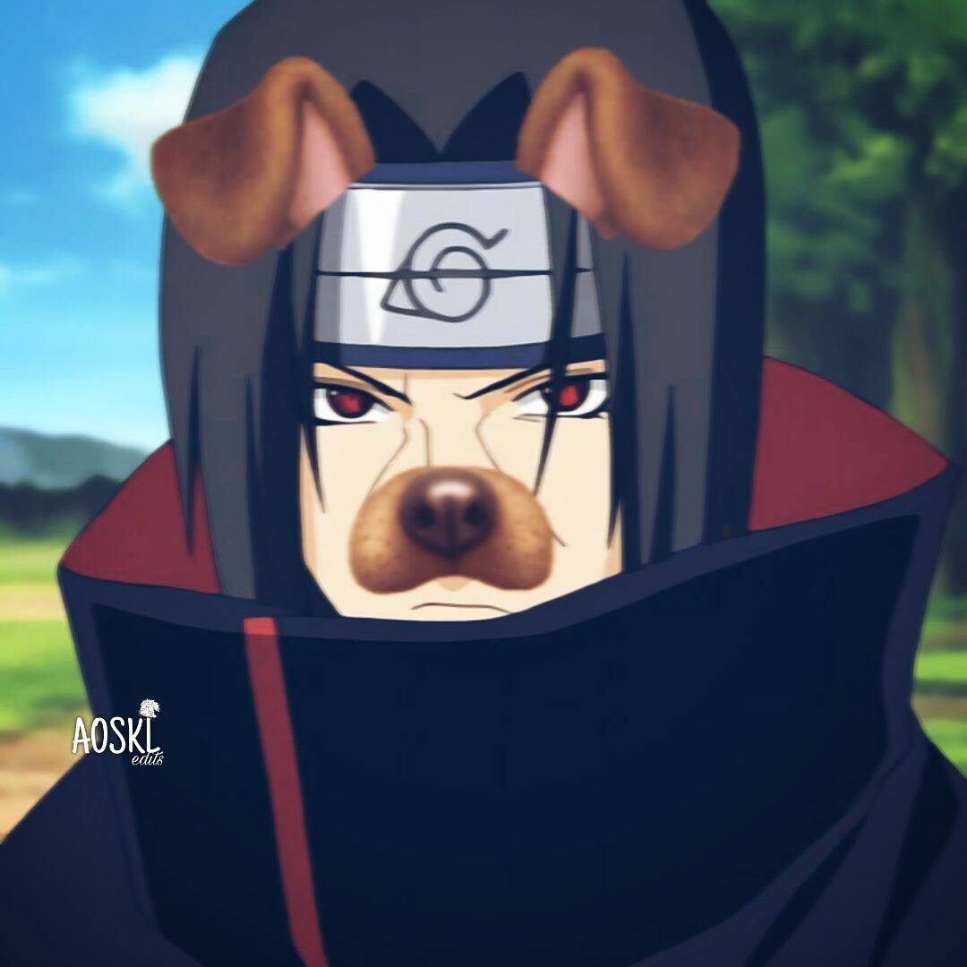 Itachi Uchiha pfp Profile Picture Dog Filter Fun