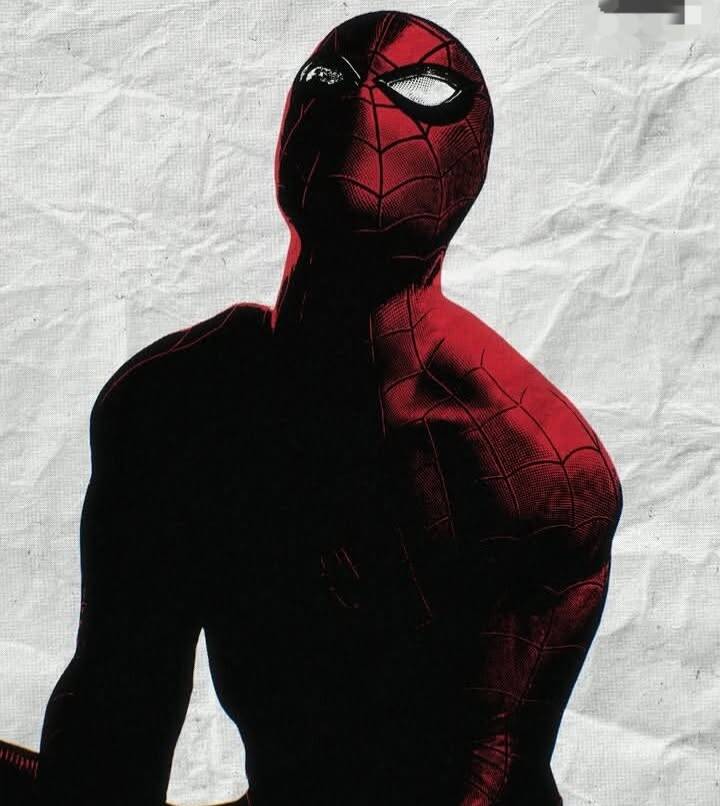 Spiderman pfp Profile Picture in Bold Red and Black Design