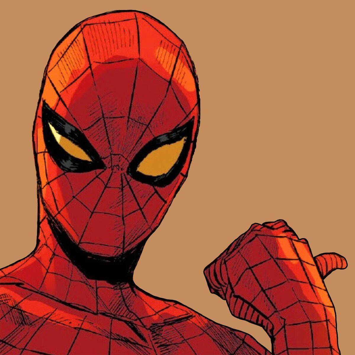 Spiderman pfp Profile Picture with Intense Focus