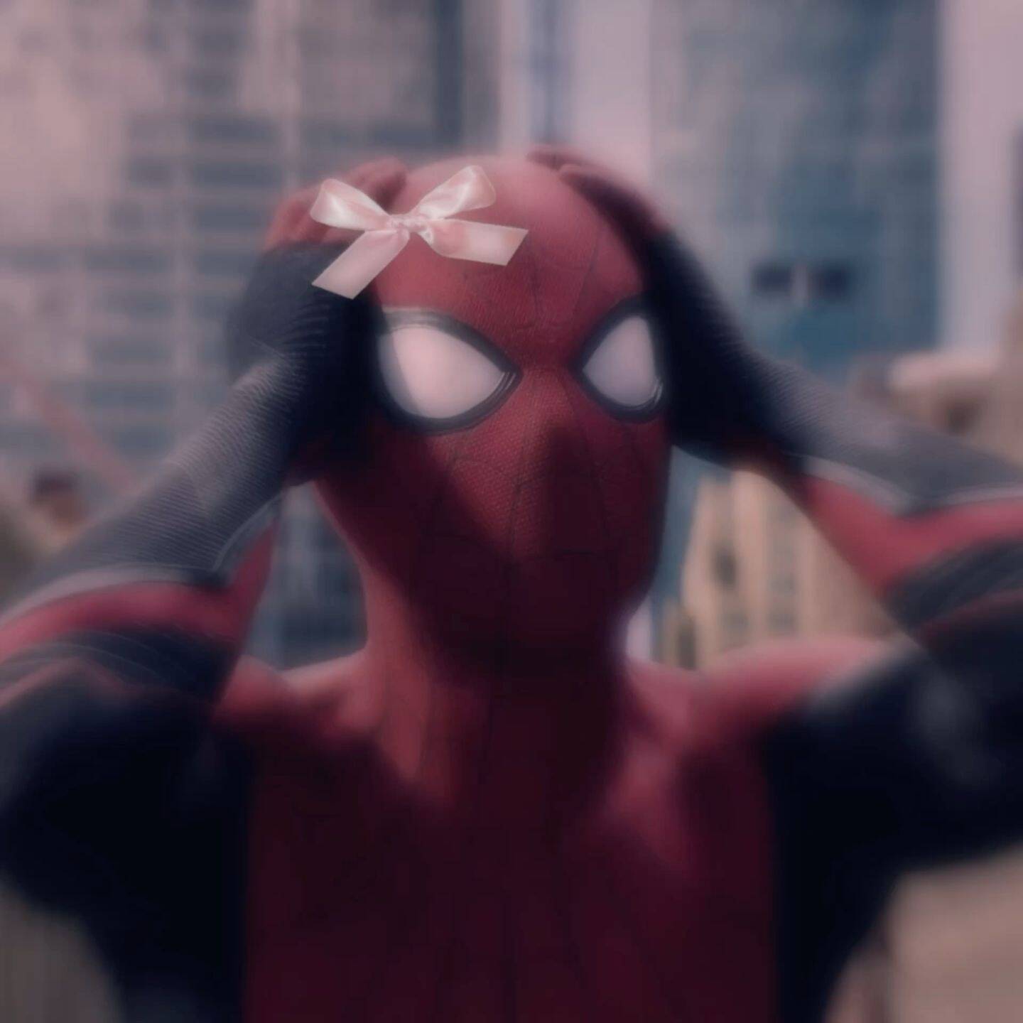 Spiderman pfp Profile Picture with Cute Bow