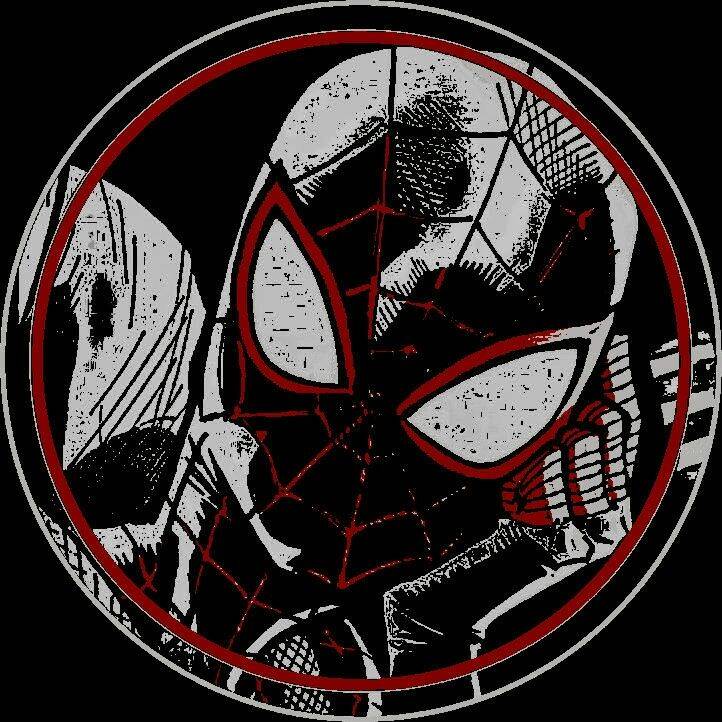 Spiderman pfp Profile Picture in Bold Comic Style