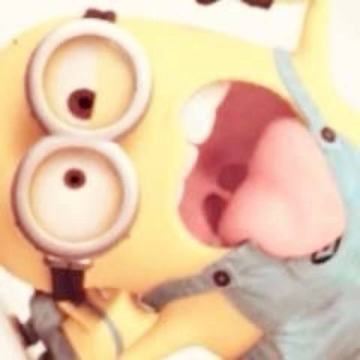 Minion pfp Profile Picture Excited Yellow Minion with Big Eyes