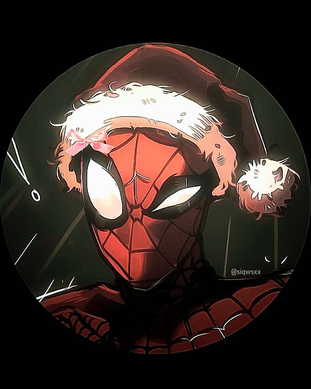 Spiderman pfp Profile Picture with Santa Hat