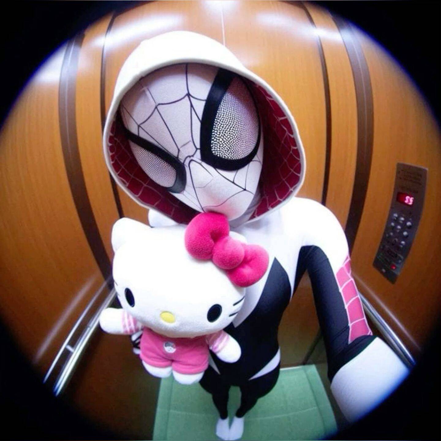 Spiderman pfp Profile Picture with Hello Kitty Plush