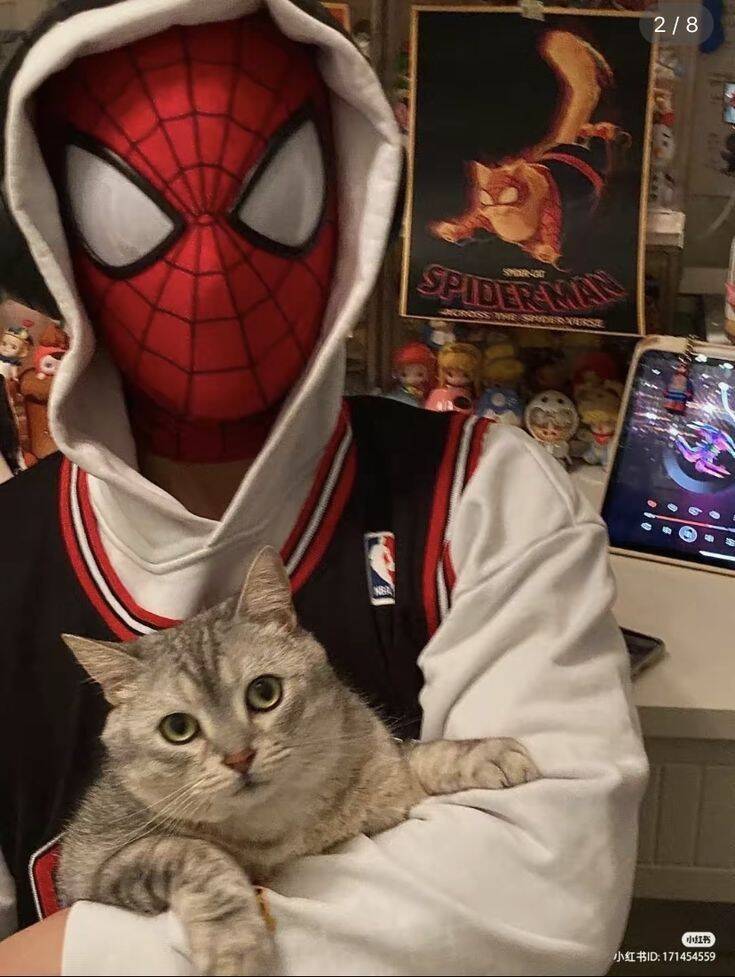 Spiderman pfp Profile Picture with Cat in Hoodie