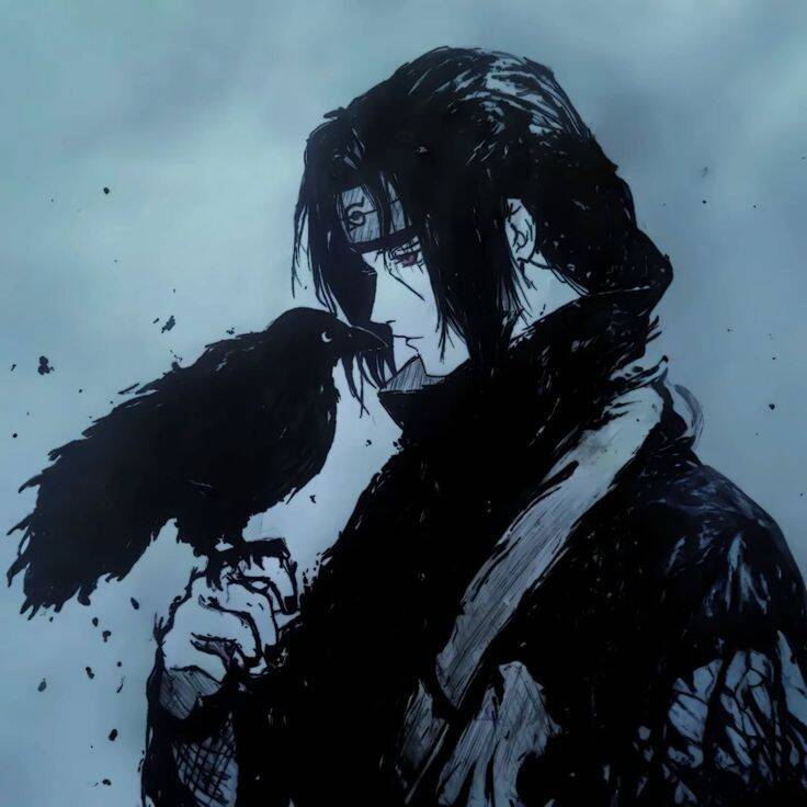 Itachi Uchiha pfp Profile Picture with Crow