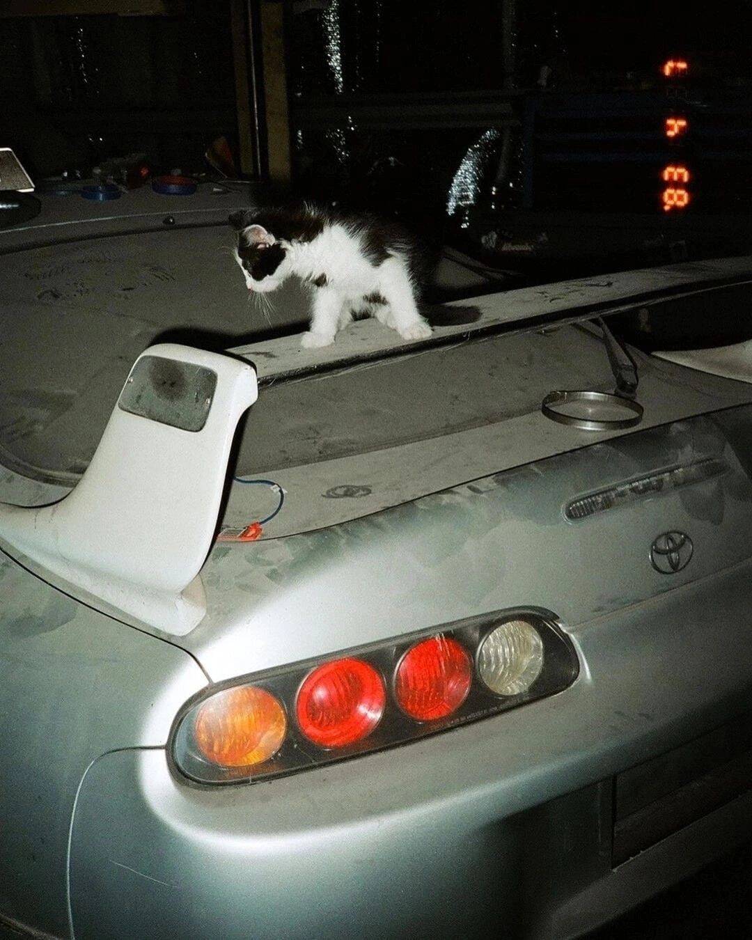 Cool Toyota Supra MK4 Car pfp Profile Picture