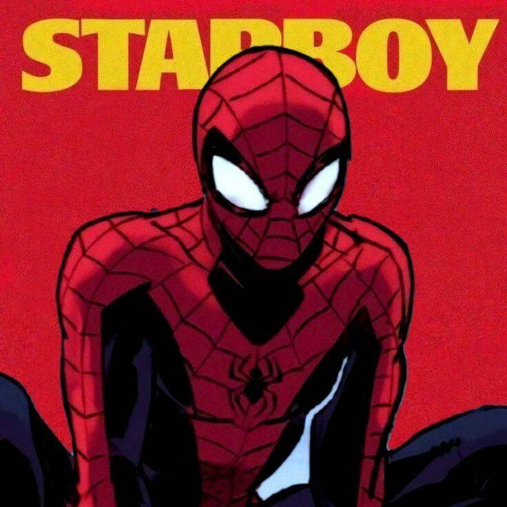 Spiderman pfp Profile Picture Starboy Edition