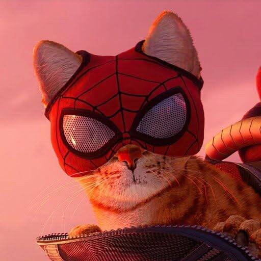 Spiderman pfp Profile Picture with Cat in Spidey Mask