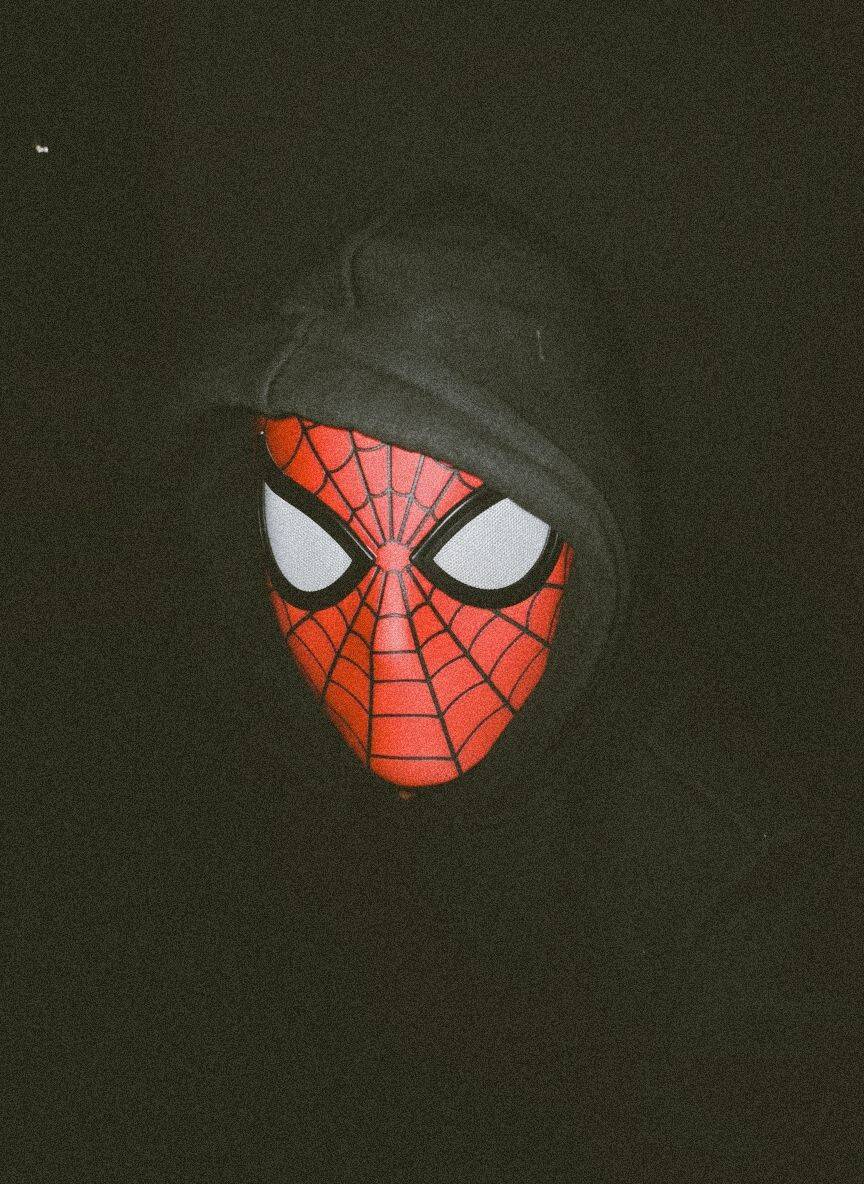 Spiderman pfp Profile Picture in Dark Hoodie with Iconic Mask