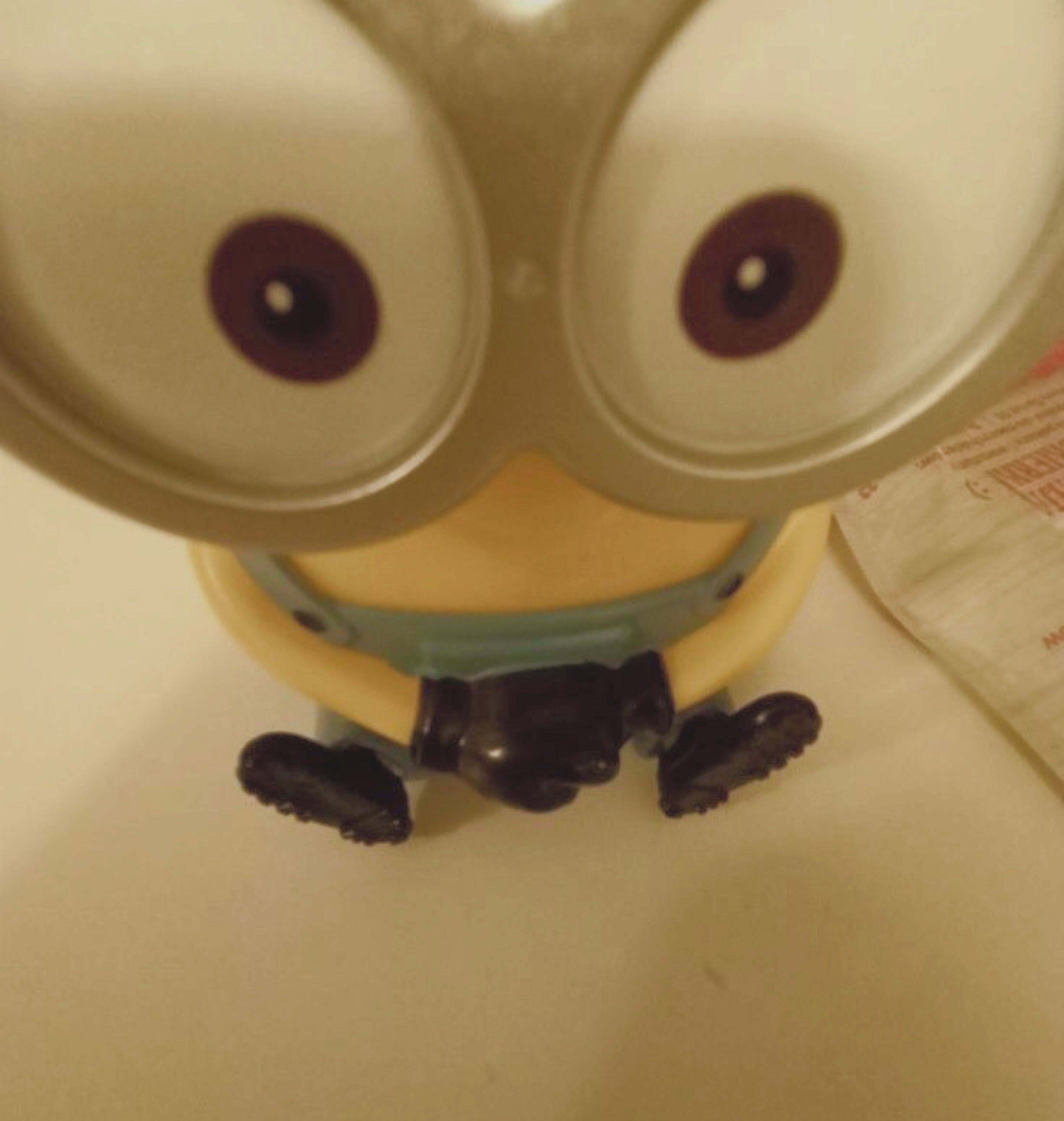 Minion pfp Profile Picture Cute Sitting Minion with Big Eyes