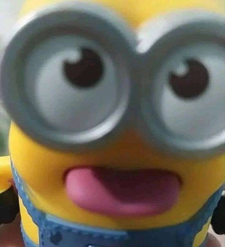 Minion pfp Profile Picture Funny Face with Sticking Tongue Out