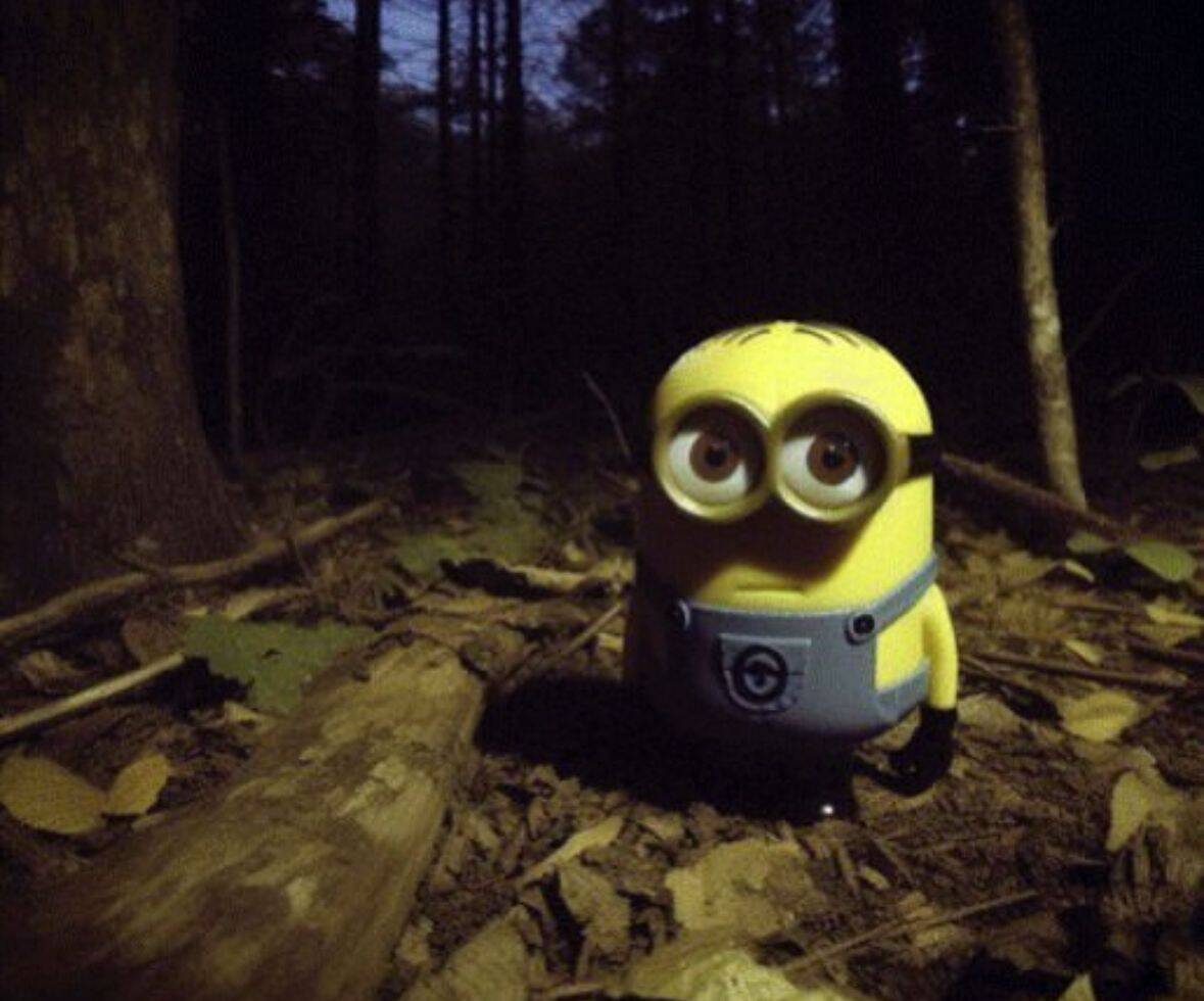 Minion pfp Profile Picture Cute Minion in the Forest