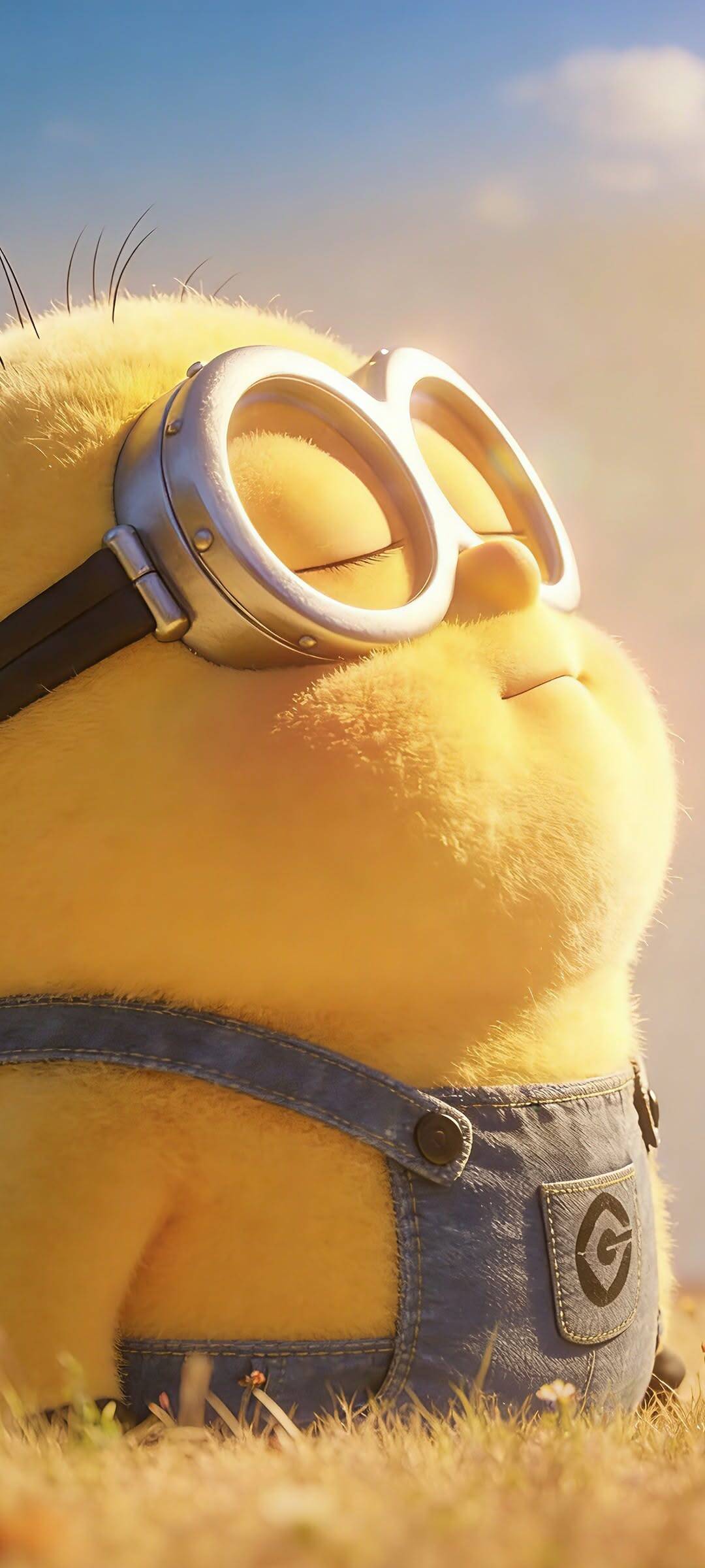 Minion pfp Profile Picture Relaxing in the Sun
