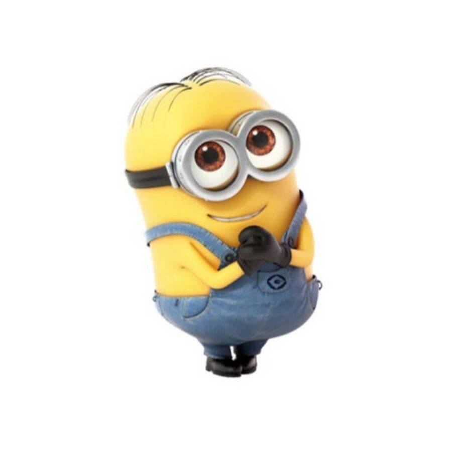 Minion pfp Profile Picture Cute Yellow Minion with Big Glasses
