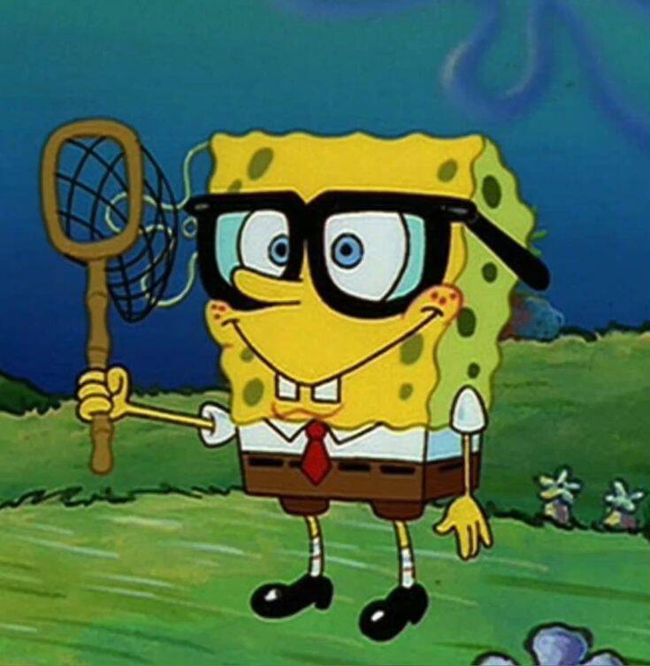Spongebob pfp Profile Picture with Glasses and Butterfly Net