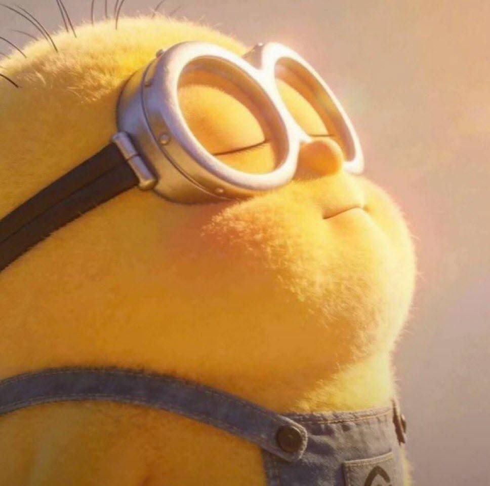 Minion pfp Profile Picture Cute Smiling Minion with Glasses