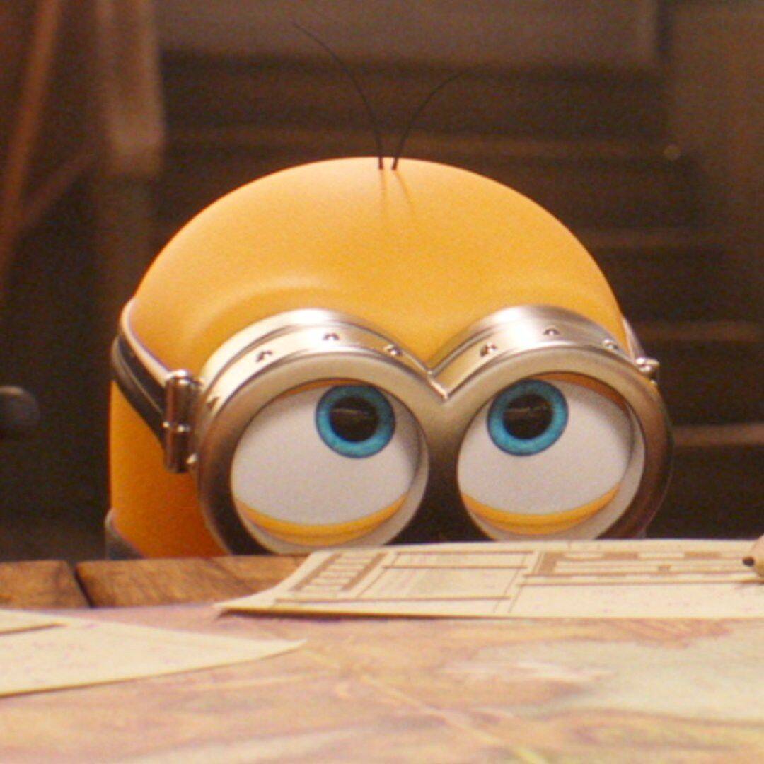 Minion pfp Profile Picture Cute Minion with Big Glasses