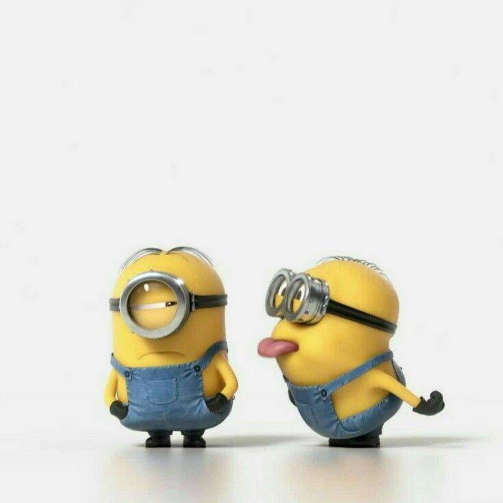 Minion pfp Profile Picture of Two Playful Minions