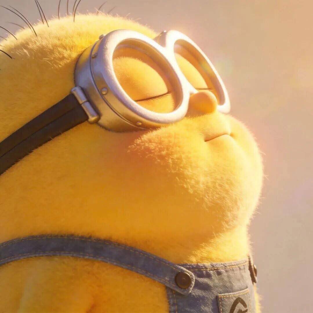 Minion pfp Profile Picture Relaxed Sunshine Glow