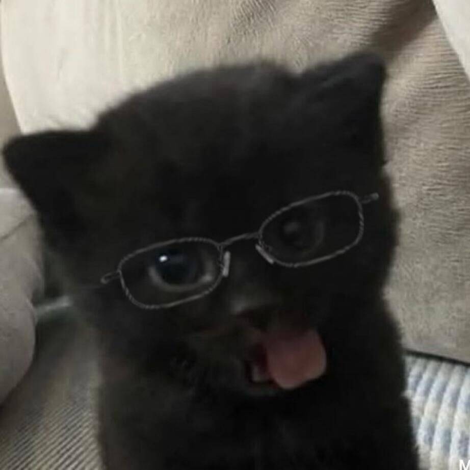 Black Cat pfp Profile Picture Playful Kitten with Glasses