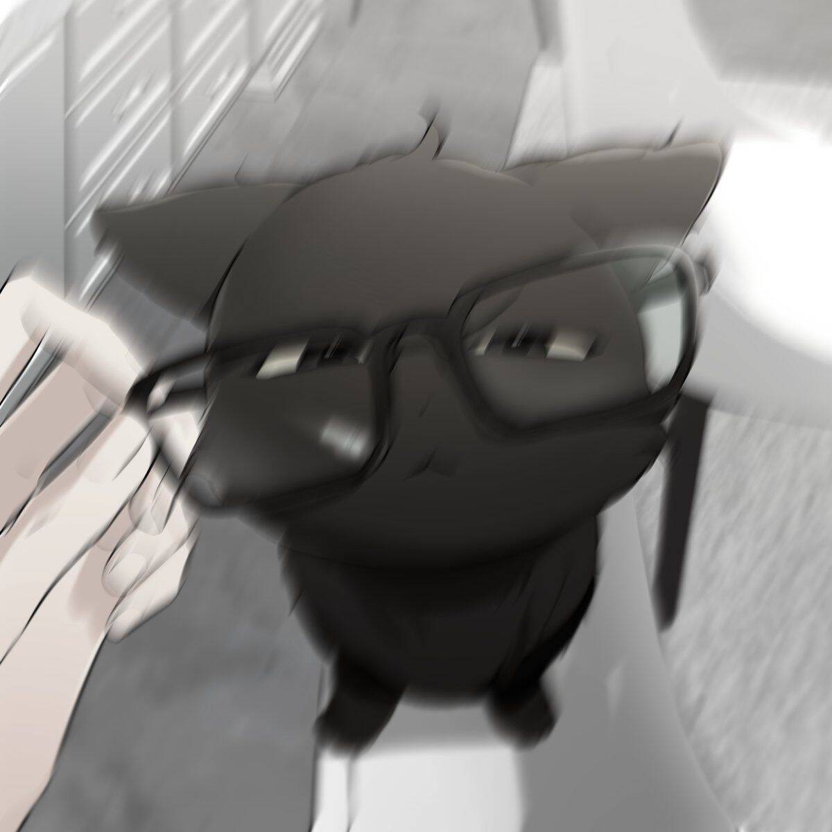 Black Cat pfp Profile Picture with Glasses