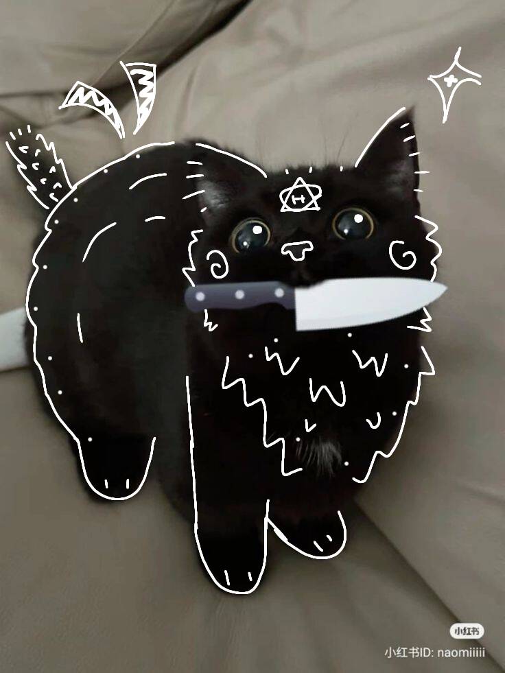 Black Cat pfp Profile Picture Doodle Art with Knife