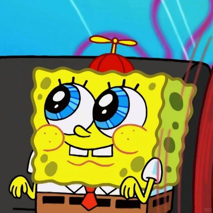 Spongebob pfp Profile Picture Adorable Wide Eyed Expression
