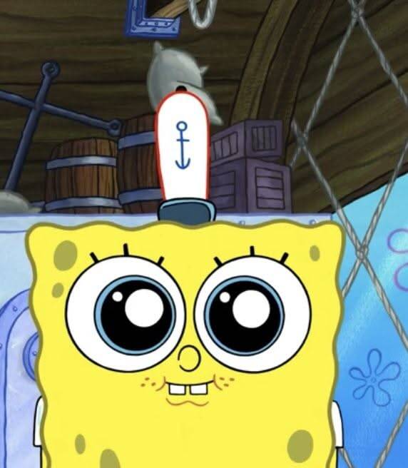 Spongebob pfp Profile Picture Adorable Sailor Hat