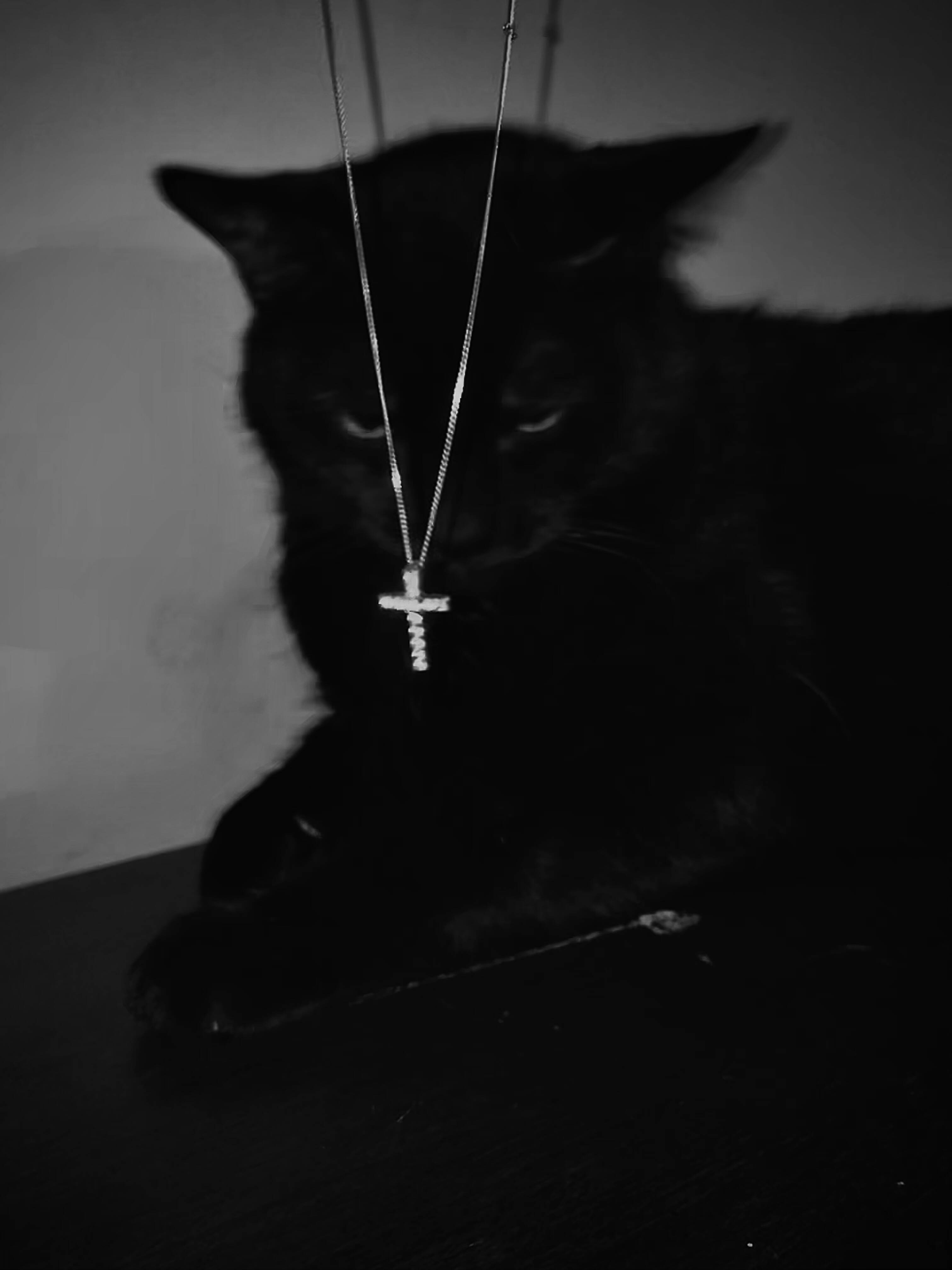 Black Cat pfp Profile Picture with Cross Necklace