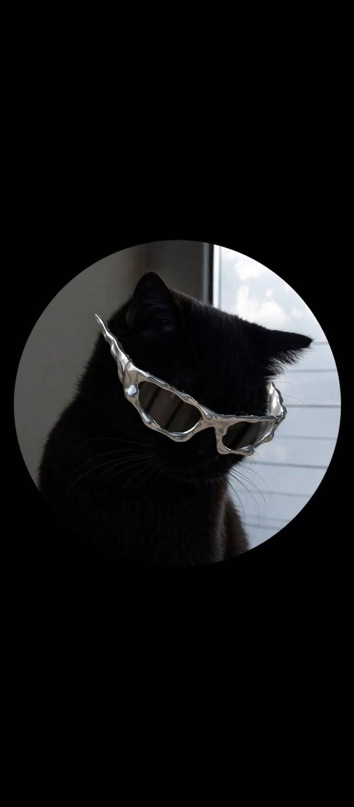 Cool Sunglasses Black Cat pfp Profile Picture