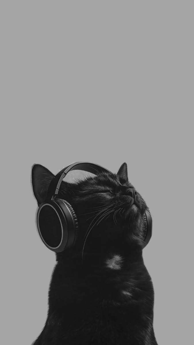 Black Cat pfp Profile Picture Listening to Music