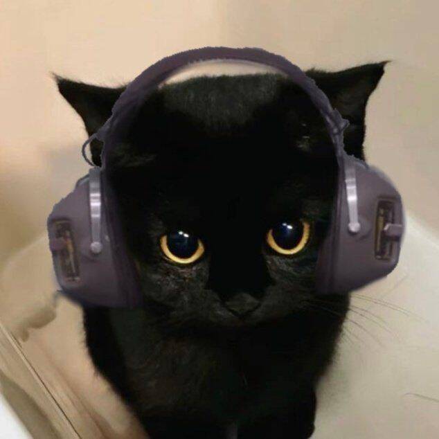 Black Cat pfp Profile Picture with Headphones