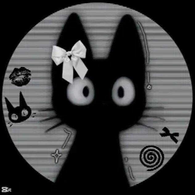 Black Cat pfp Profile Picture with Bow and Whiskers